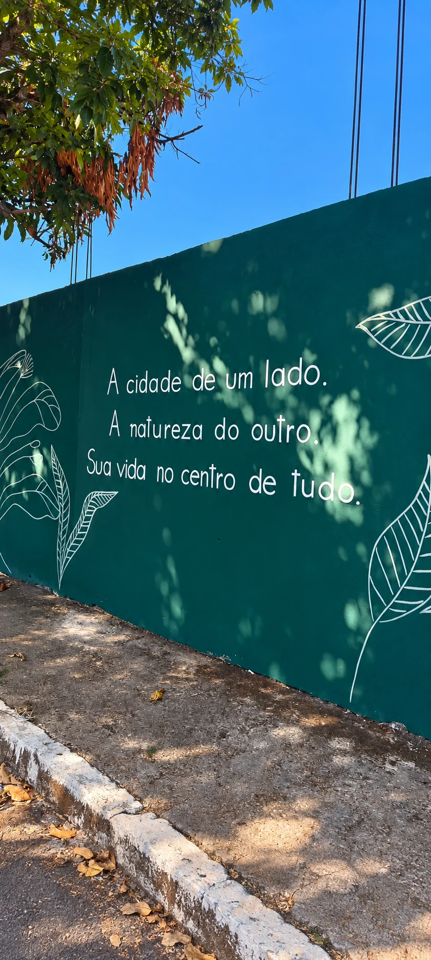 Cidade e natureza no endereço Auro